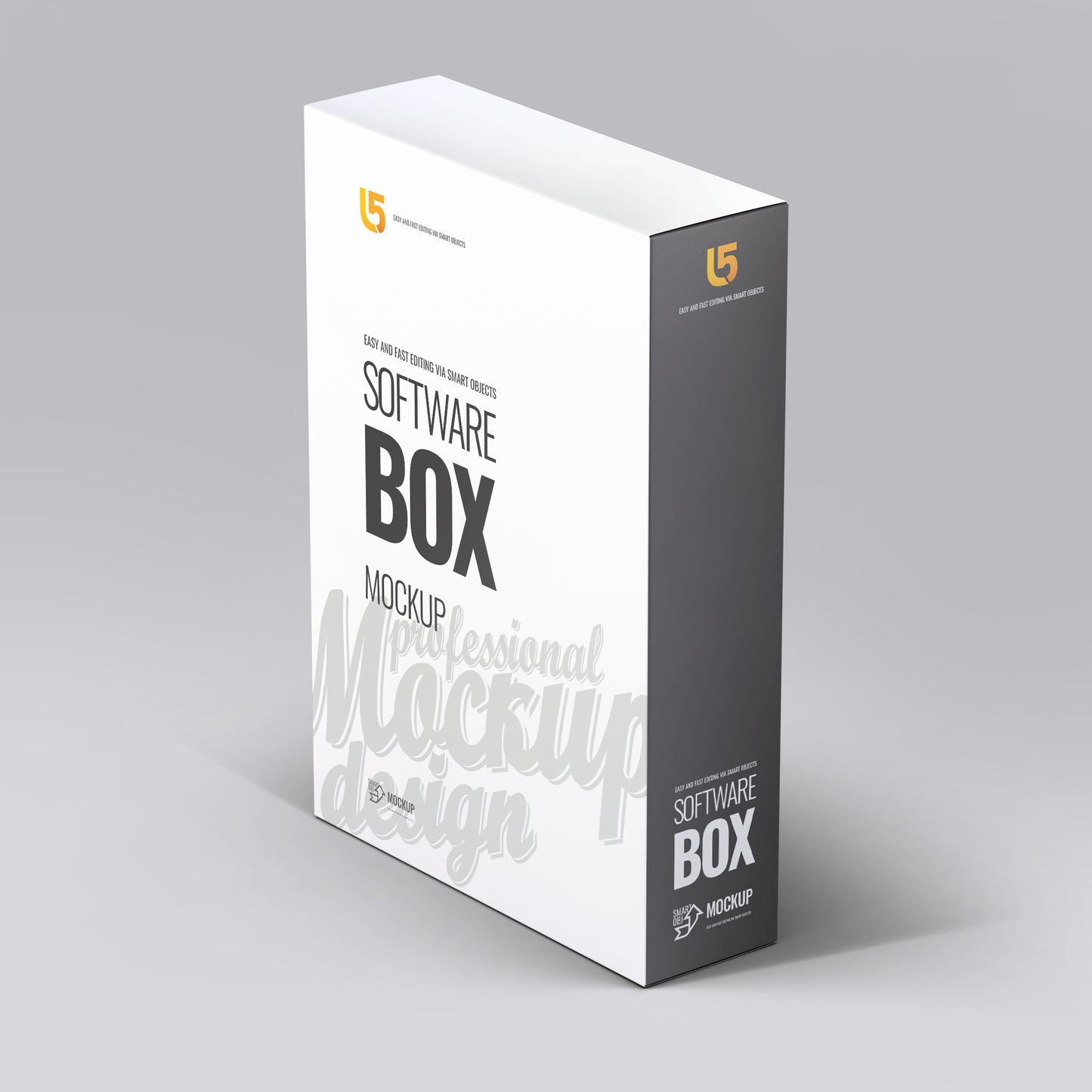 06 Software Box Mock-Up