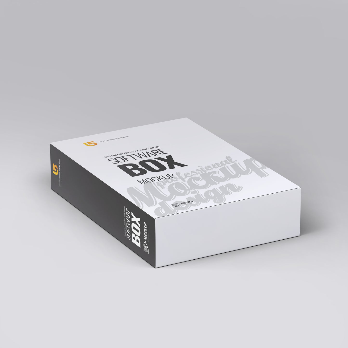 08 Software Box Mock-Up